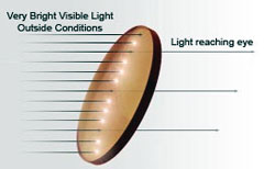 drivewear polarized eye glass lenses